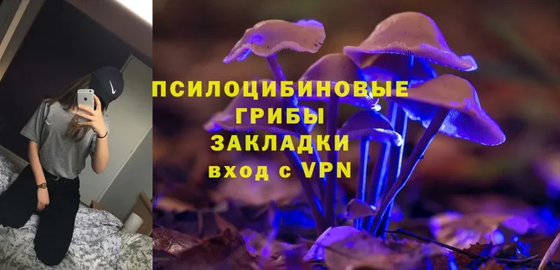 МЕГА зеркало  Бородино  Псилоцибиновые грибы MAGIC MUSHROOMS 